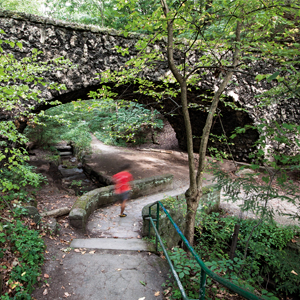  Pittsburgh Parks Conservancy, Schenley Park, Phipps Run Corridor. courtesy of Jeremy Marshall.