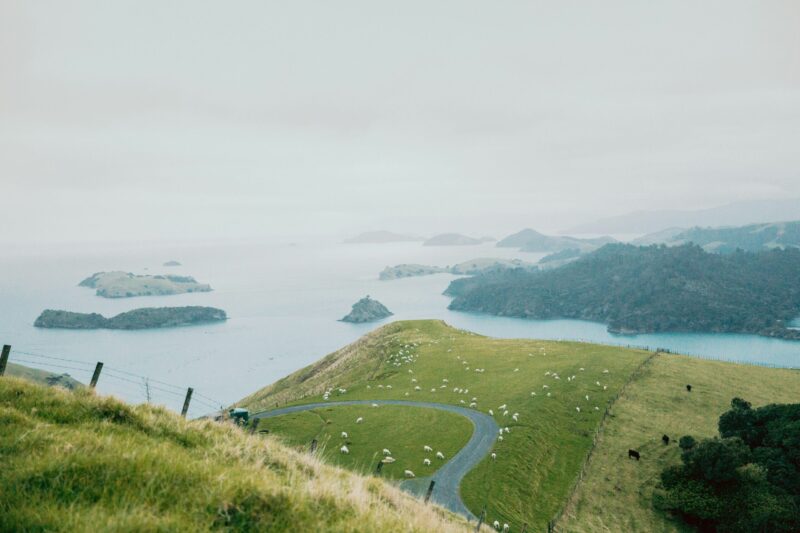 Government sets consent expectations